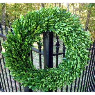 Preserved Boxwood Garden Wreath - 22 Inch