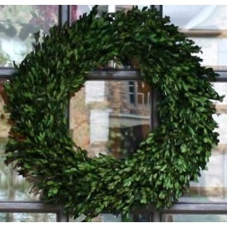 Preserved Boxwood Garden Wreath - 22 Inch