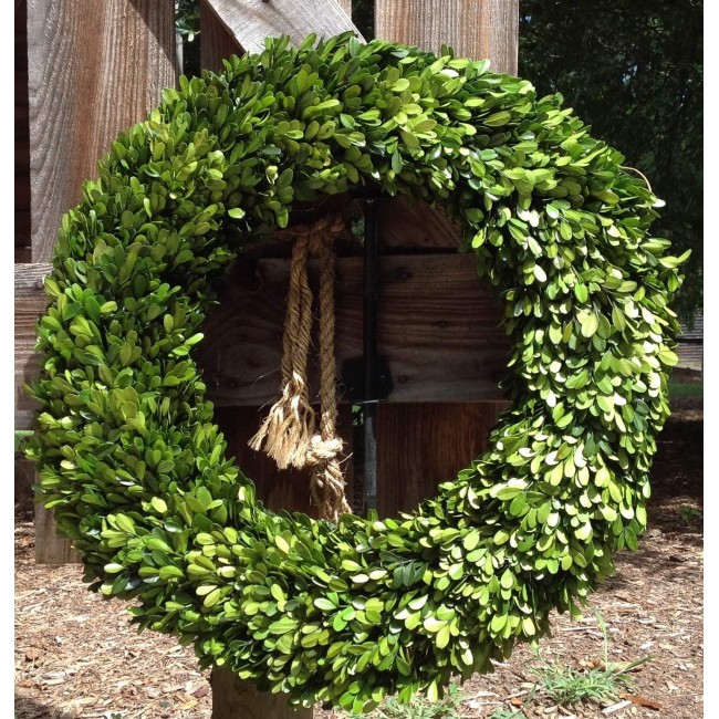 Preserved Boxwood Garden Wreath - 22 Inch