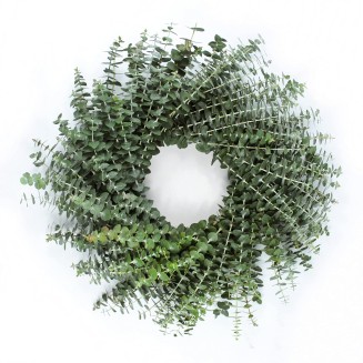 Living Baby Blue Eucalyptus Wreath 20 inch Handcrafted Fresh Cut Greenery Wreath for Front Door Church Door Decor Wedding House Warming Holiday Gift | Yoga Lovers | Self-Care