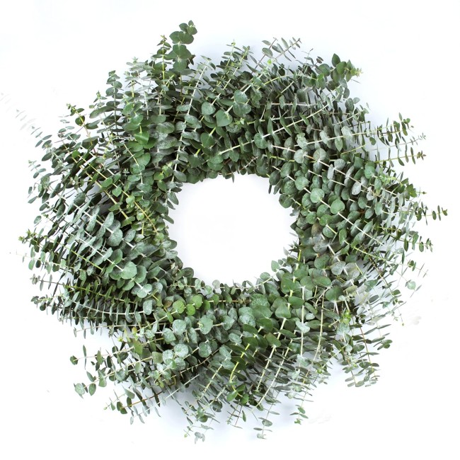 Living Baby Blue Eucalyptus Wreath 24 inch Handcrafted Fresh Cut Greenery Wreath for Front Door Church Door Decor Wedding House Warming Holiday Gift | Yoga Lovers | Self-Care