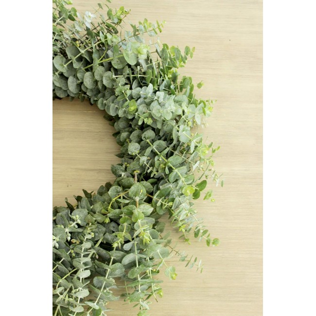 Living Baby Blue Eucalyptus Wreath 24 inch Handcrafted Fresh Cut Greenery Wreath for Front Door Church Door Decor Wedding House Warming Holiday Gift | Yoga Lovers | Self-Care