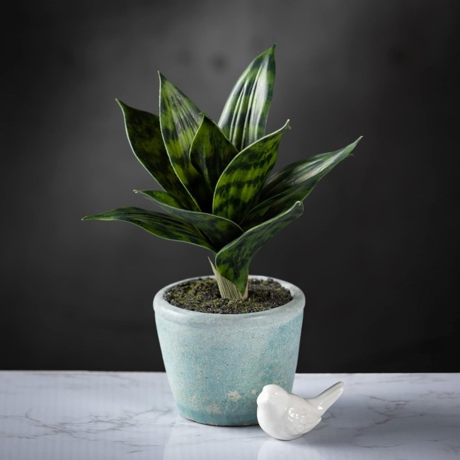  Fake Sansevieria Snake Indoor Plant with Gray Pot, Artificial Plants for Your Home, Home, Office, and Bathroom Décor Pieces, Faux Artificial Greenery