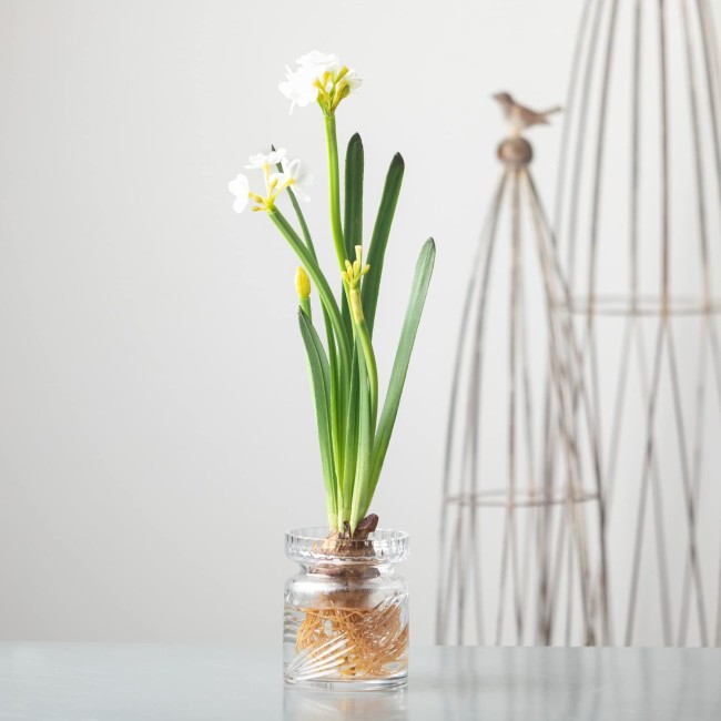  Paperwhite Flower with Bulb Stem 20", White Narcissus Stem with Bulb, White Small Daffodil Floral Stem Artificial Flowers, Lifelike Paperwhite Realistic Flower (GG511)