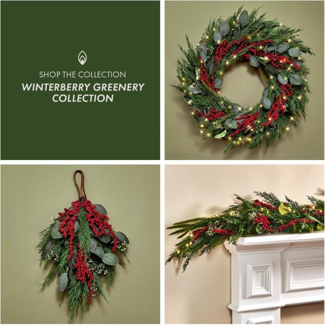 Christmas Wreath with Lights Front Door Wreaths, 24 Inch Holiday Wreath, 100 LED Evergreen Wreath with Eucalyptus and Red Berry Decorations, Lighted Christmas Wreaths for Front Door Winter Decor