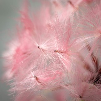  Billowy Pink Dandelion Pom Pom Stem, 32.75-Inch Artificial Fake Flower, Lifelike Bouquet Centerpiece for Home, Office, Weddings and Gifts Décor