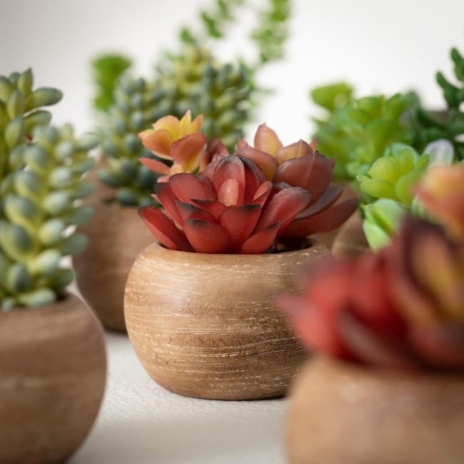  4.5" H Mini Potted Succulent Set of 12, Multicolored, Everyday Home Decor, Artificial Plants Indoor, Artificial Greenery, Room, Kitchen, Office, & Bathroom Décor, Fake Plants