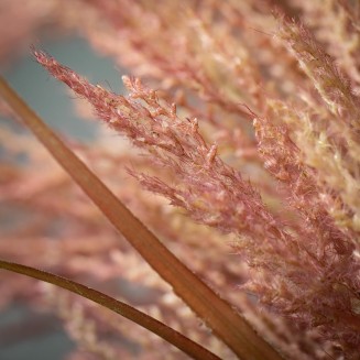  Large Faux Dried Burgundy Reed Stem, 4 FT Artificial Fake Reed Grass Flower, Lifelike Large Feathery Plumes for Home, Office, Weddings and Gifts Decor